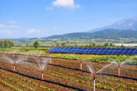 Haryana cleared ₹402 crore solar-powered micro-irrigation projects